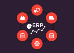ERP graphic surrounded by circles