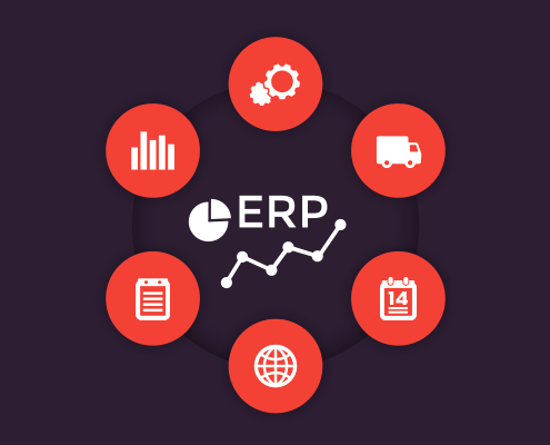 ERP graphic surrounded by circles